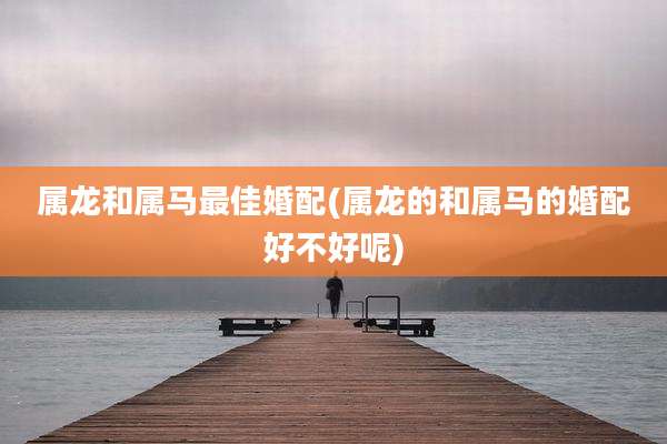 属龙和属马最佳婚配(属龙的和属马的婚配好不好呢)