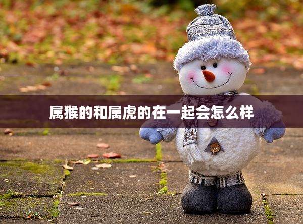 属猴的和属虎的在一起会怎么样