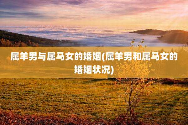 属羊男与属马女的婚姻(属羊男和属马女的婚姻状况)