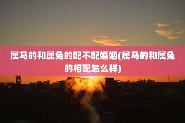 属马的和属兔的配不配婚姻(属马的和属兔的相配怎么样)