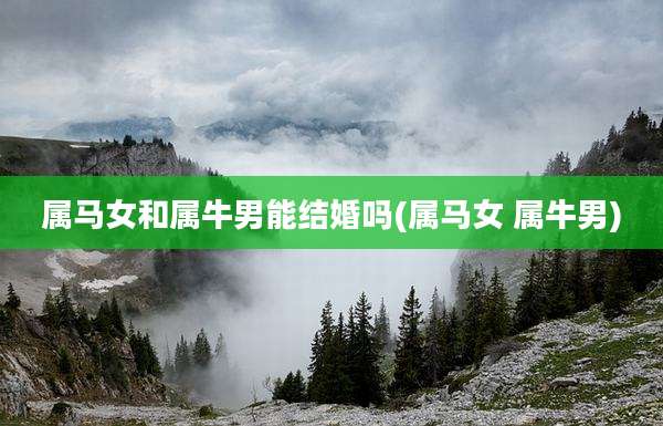 属马女和属牛男能结婚吗(属马女 属牛男)