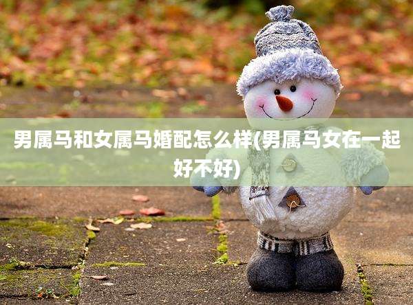 男属马和女属马婚配怎么样(男属马女在一起好不好)