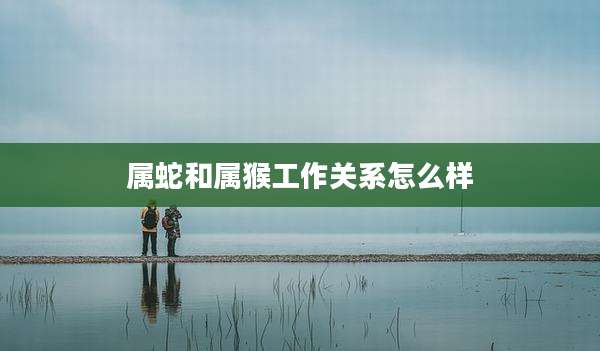 属蛇和属猴工作关系怎么样