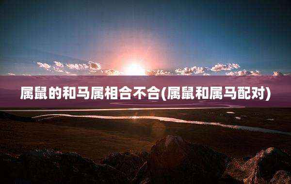 属鼠的和马属相合不合(属鼠和属马配对)