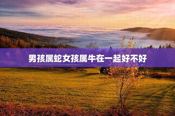 男孩属蛇女孩属牛在一起好不好