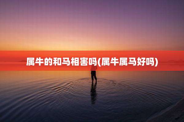 属牛的和马相害吗(属牛属马好吗)