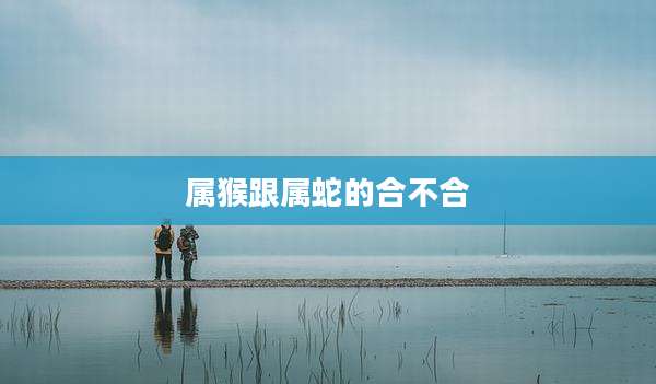 属猴跟属蛇的合不合