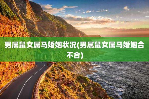 男属鼠女属马婚姻状况(男属鼠女属马婚姻合不合)