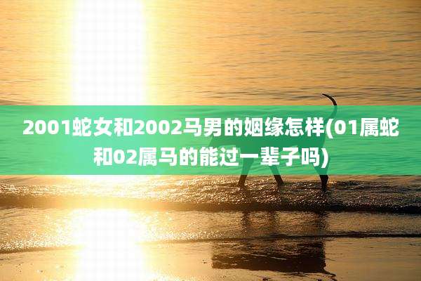 2001蛇女和2002马男的姻缘怎样(01属蛇和02属马的能过一辈子吗)