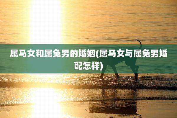 属马女和属兔男的婚姻(属马女与属兔男婚配怎样)