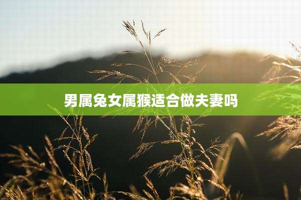 男属兔女属猴适合做夫妻吗