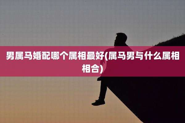 男属马婚配哪个属相最好(属马男与什么属相相合)