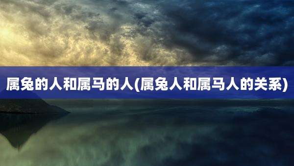 属兔的人和属马的人(属兔人和属马人的关系)