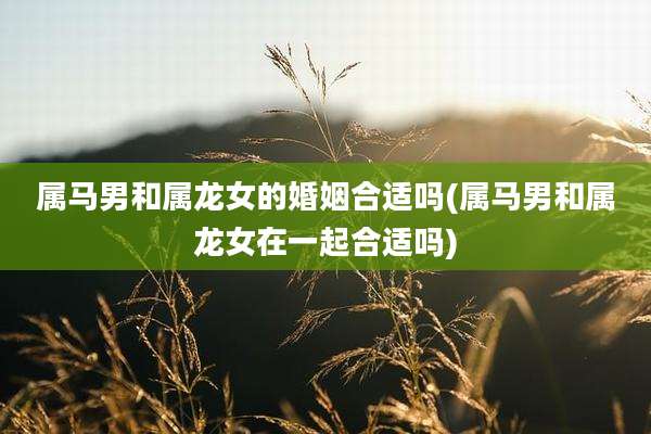 属马男和属龙女的婚姻合适吗(属马男和属龙女在一起合适吗)