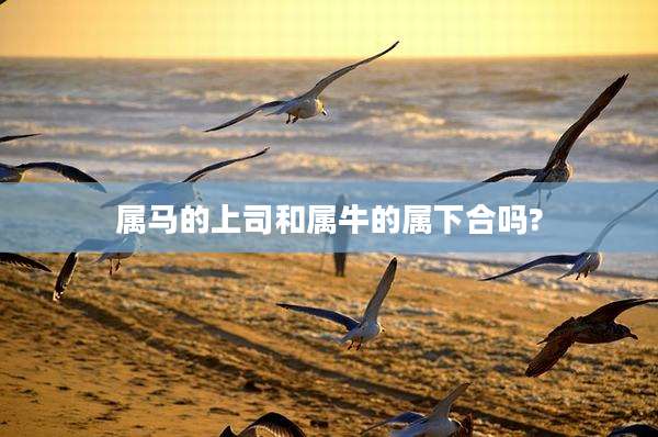 属马的上司和属牛的属下合吗?