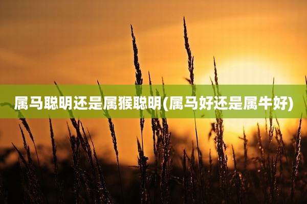 属马聪明还是属猴聪明(属马好还是属牛好)