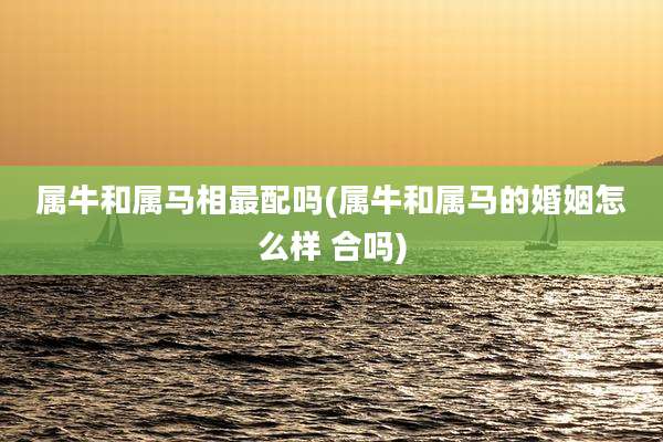 属牛和属马相最配吗(属牛和属马的婚姻怎么样 合吗)