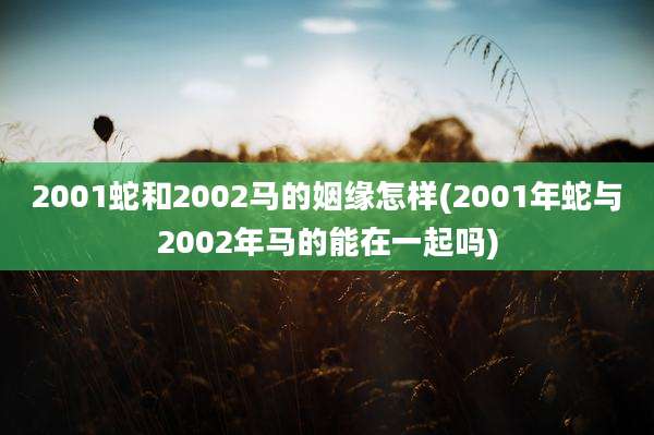 2001蛇和2002马的姻缘怎样(2001年蛇与2002年马的能在一起吗)