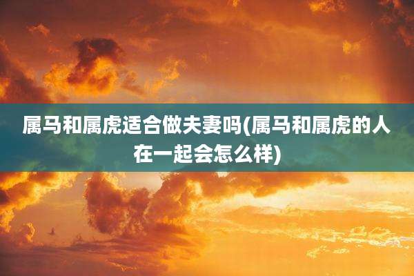 属马和属虎适合做夫妻吗(属马和属虎的人在一起会怎么样)