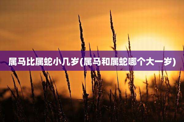 属马比属蛇小几岁(属马和属蛇哪个大一岁)