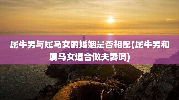 属牛男与属马女的婚姻是否相配(属牛男和属马女适合做夫妻吗)