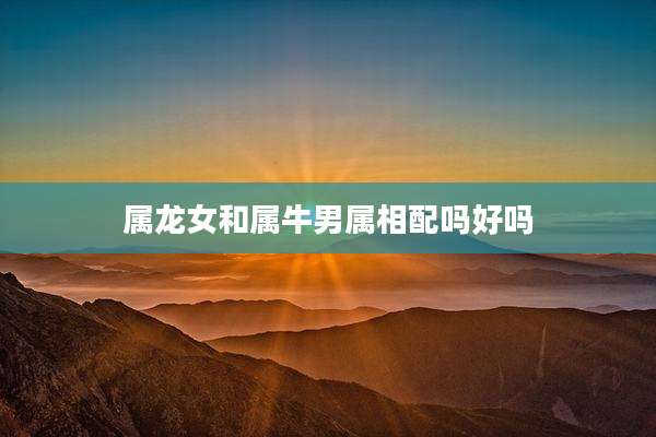 属龙女和属牛男属相配吗好吗