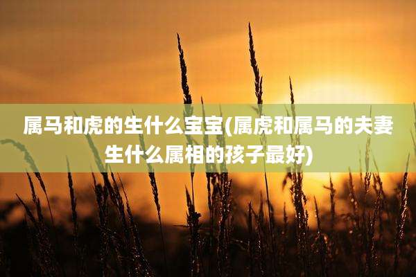 属马和虎的生什么宝宝(属虎和属马的夫妻生什么属相的孩子最好)