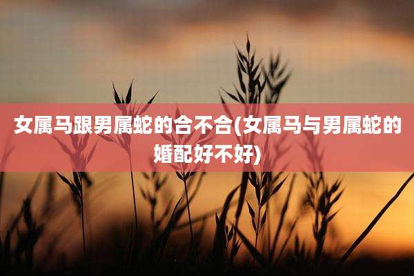 女属马跟男属蛇的合不合(女属马与男属蛇的婚配好不好)