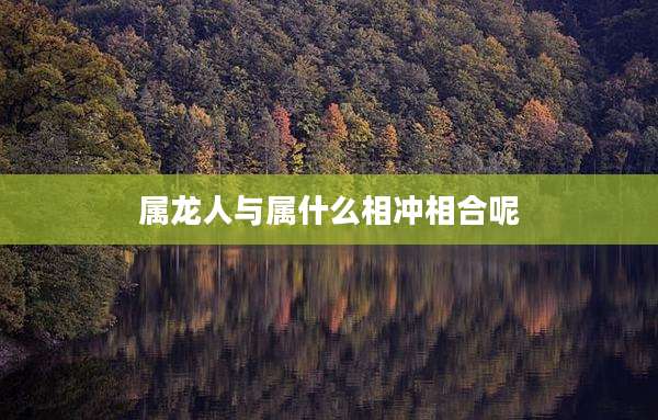 属龙人与属什么相冲相合呢