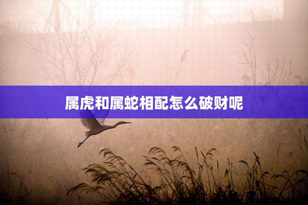 属虎和属蛇相配怎么破财呢