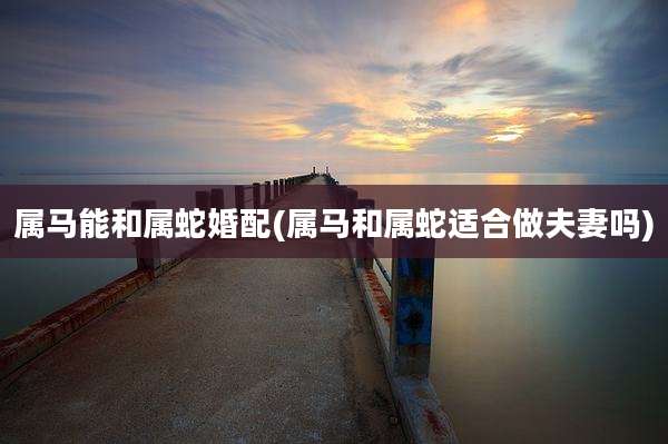 属马能和属蛇婚配(属马和属蛇适合做夫妻吗)