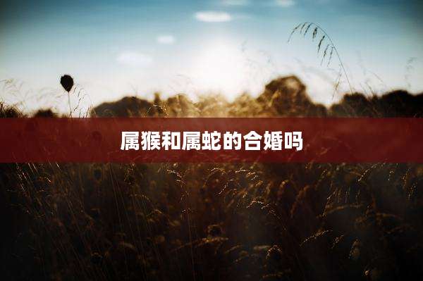 属猴和属蛇的合婚吗