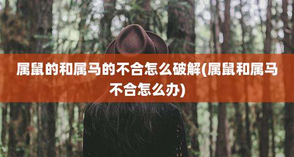 属鼠的和属马的不合怎么破解(属鼠和属马不合怎么办)