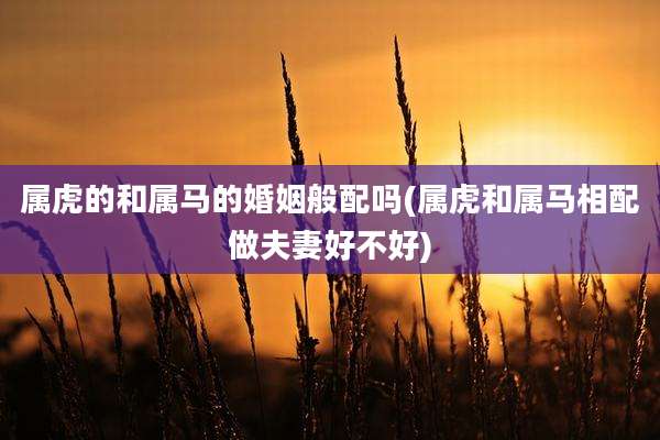 属虎的和属马的婚姻般配吗(属虎和属马相配做夫妻好不好)