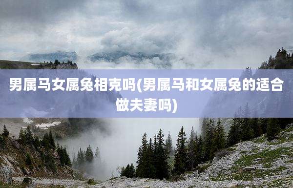 男属马女属兔相克吗(男属马和女属兔的适合做夫妻吗)
