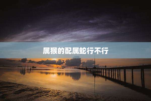 属猴的配属蛇行不行