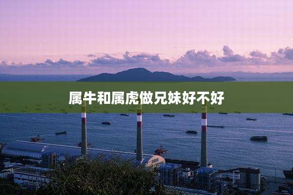 属牛和属虎做兄妹好不好