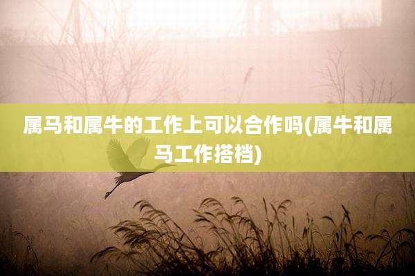 属马和属牛的工作上可以合作吗(属牛和属马工作搭档)