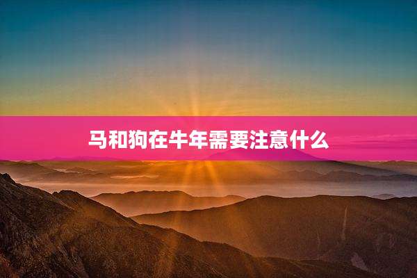 马和狗在牛年需要注意什么