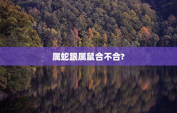 属蛇跟属鼠合不合?