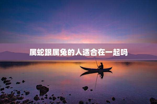 属蛇跟属兔的人适合在一起吗