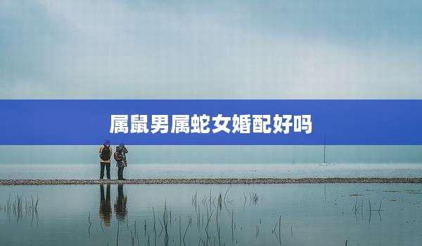 属鼠男属蛇女婚配好吗