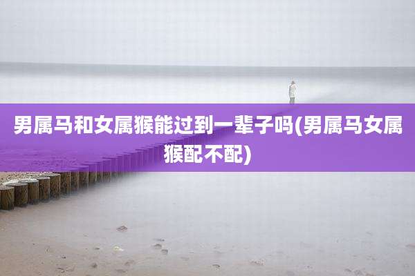 男属马和女属猴能过到一辈子吗(男属马女属猴配不配)