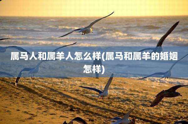 属马人和属羊人怎么样(属马和属羊的婚姻怎样)