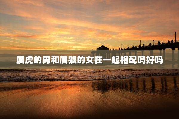 属虎的男和属猴的女在一起相配吗好吗