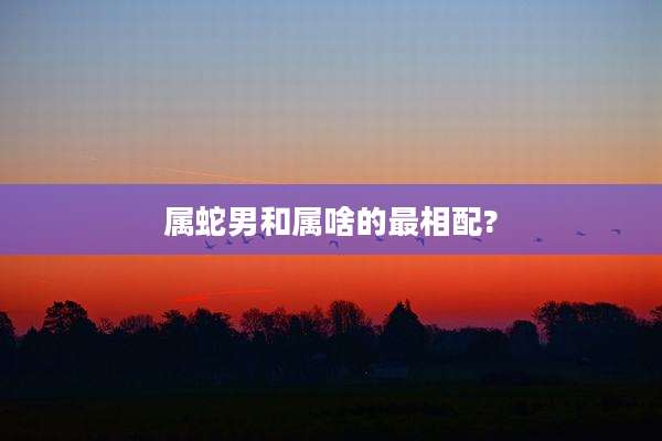 属蛇男和属啥的最相配?