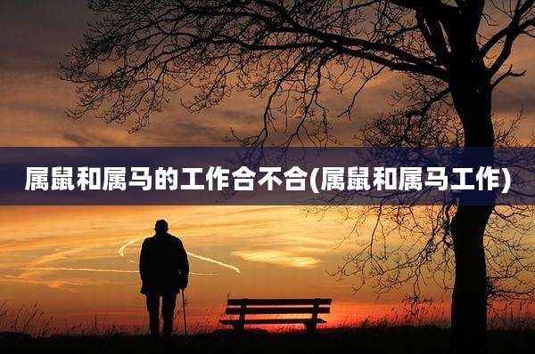 属鼠和属马的工作合不合(属鼠和属马工作)
