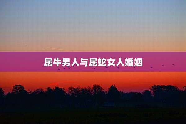 属牛男人与属蛇女人婚姻