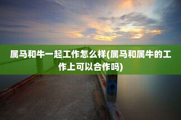 属马和牛一起工作怎么样(属马和属牛的工作上可以合作吗)