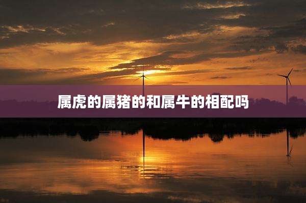 属虎的属猪的和属牛的相配吗